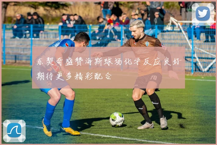 东契奇盛赞海斯球场化学反应良好期待更多精彩配合