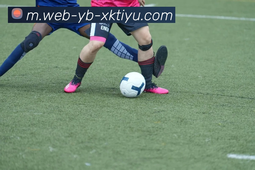 App Interface Preview