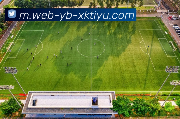 星空体育APP 封面图